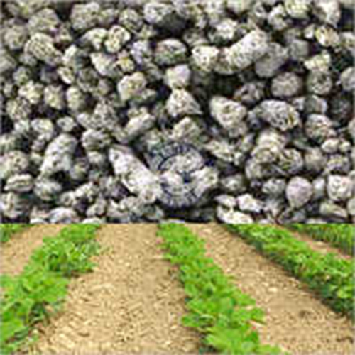 Phosphorus Rich Manure