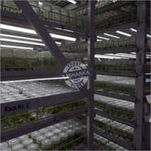 Tissue Culture Racks
