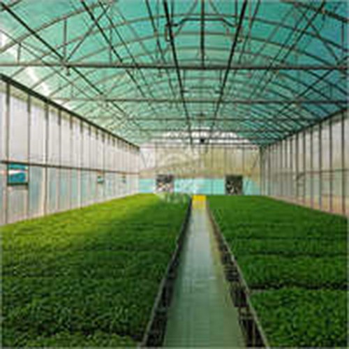 Hi Tech Seedling Nursery