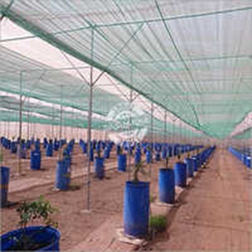 Insect Net House