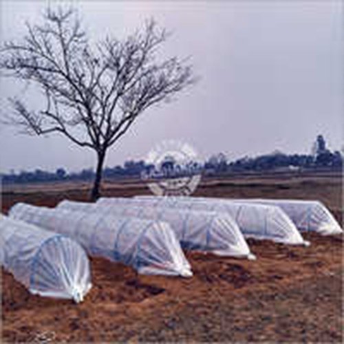 Poly Low Tunnel