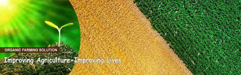 Soilless Growing Media